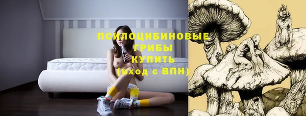 PSILOCYBIN Вязьма
