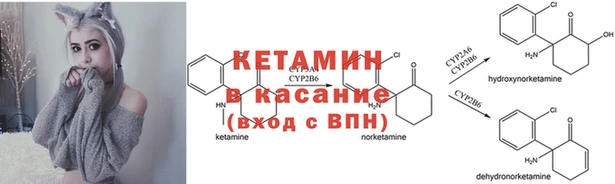 дживик Вяземский