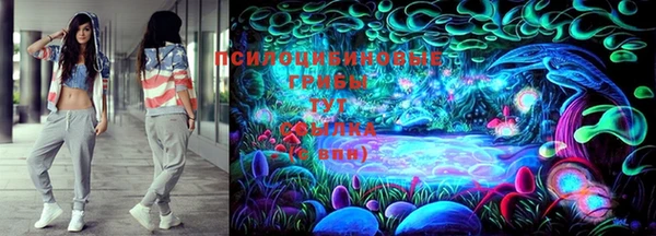 дживик Вяземский