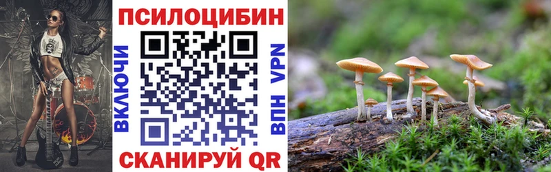 сколько стоит  Балей  Псилоцибиновые грибы Magic Shrooms 